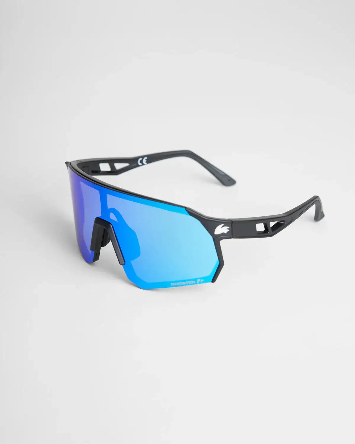 Gafas polarizadas Rooster Race 5