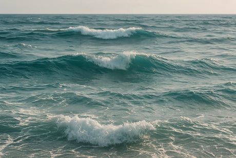 ¿Qué es el Mar de Fondo?